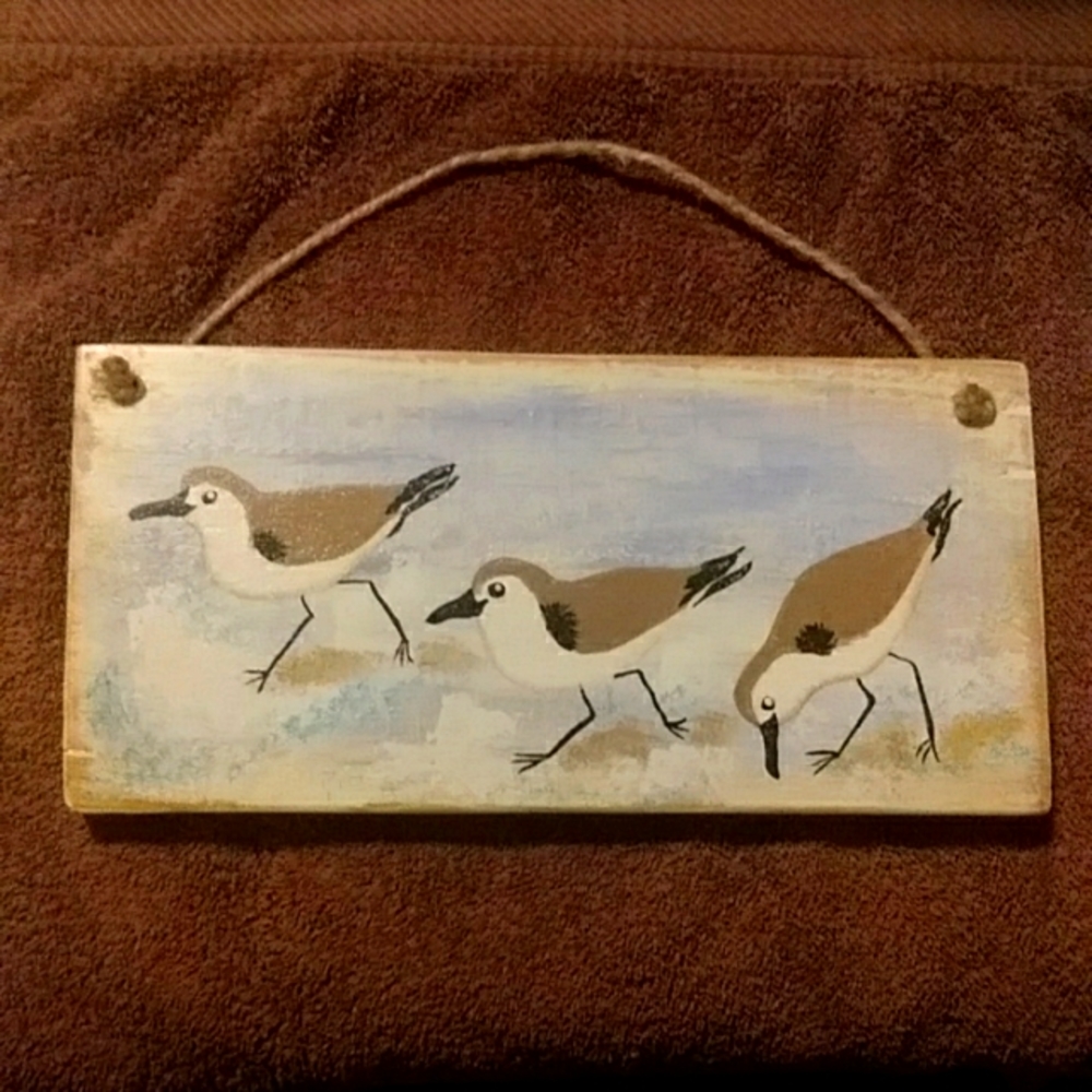 Hanging beach birds